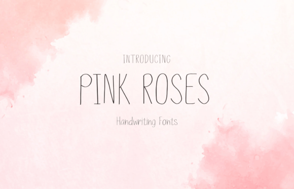 A Designer's Honest Take on Pink Roses